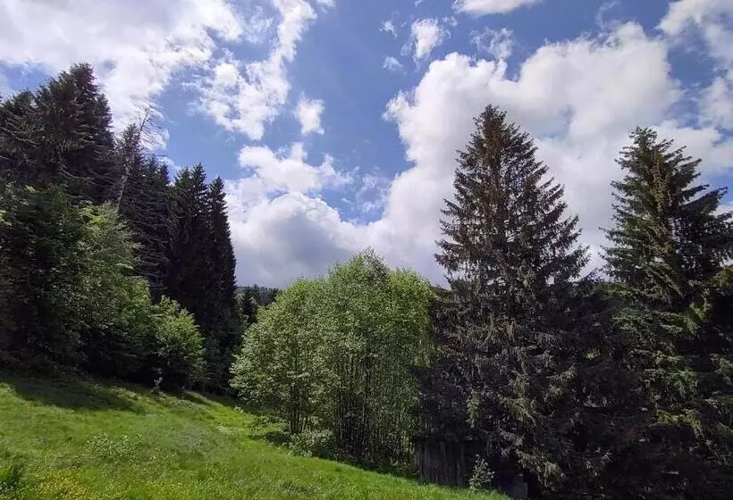 Casa Negru Vodă Breaza