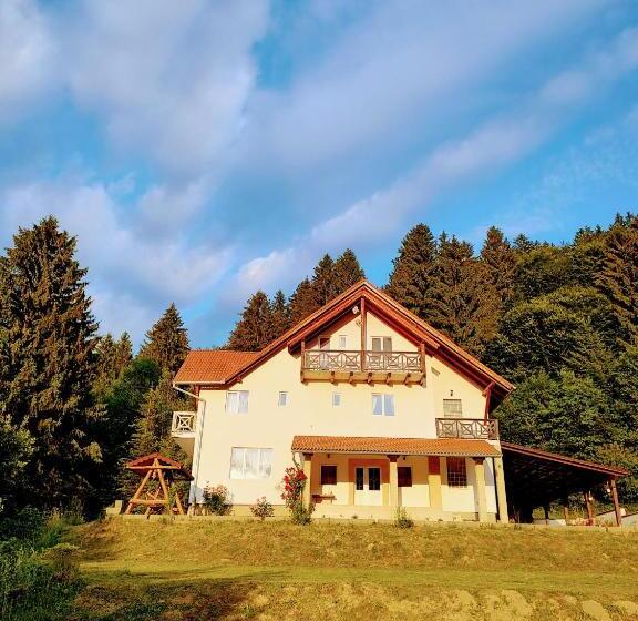 Casa Negru Vodă Breaza