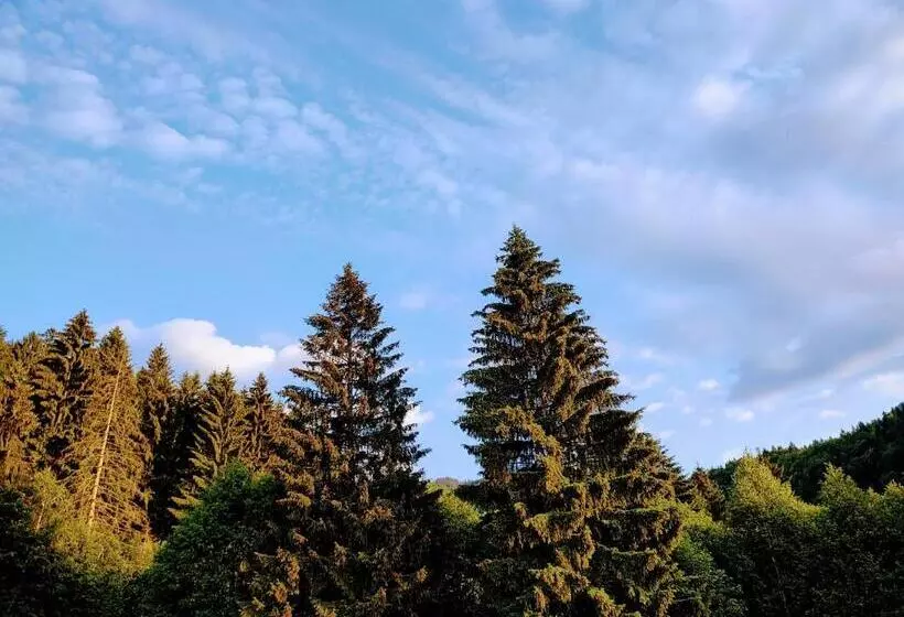 Casa Negru Vodă Breaza