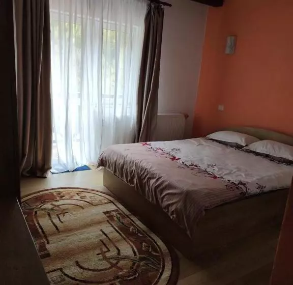 Casa Negru Vodă Breaza