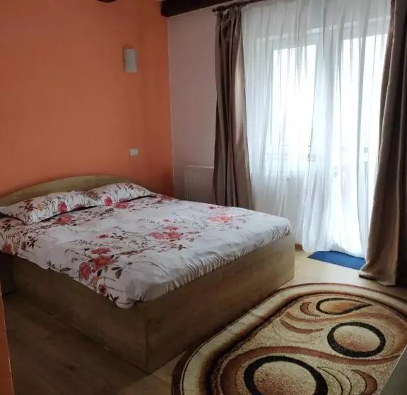 Casa Negru Vodă Breaza