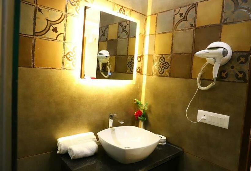 Hotel Palm Grand Naraina New Delhi Couple Friendly Local Ids Accepted