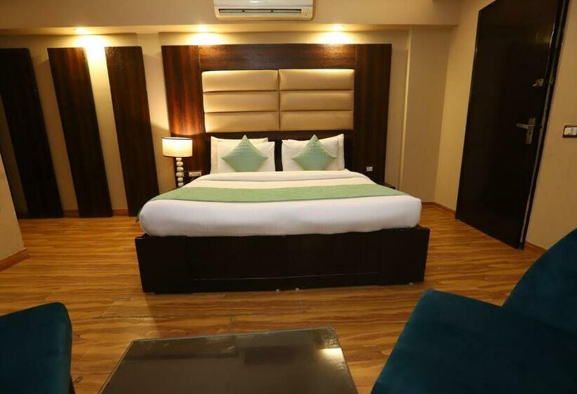 Hotel Palm Grand Naraina New Delhi Couple Friendly Local Ids Accepted