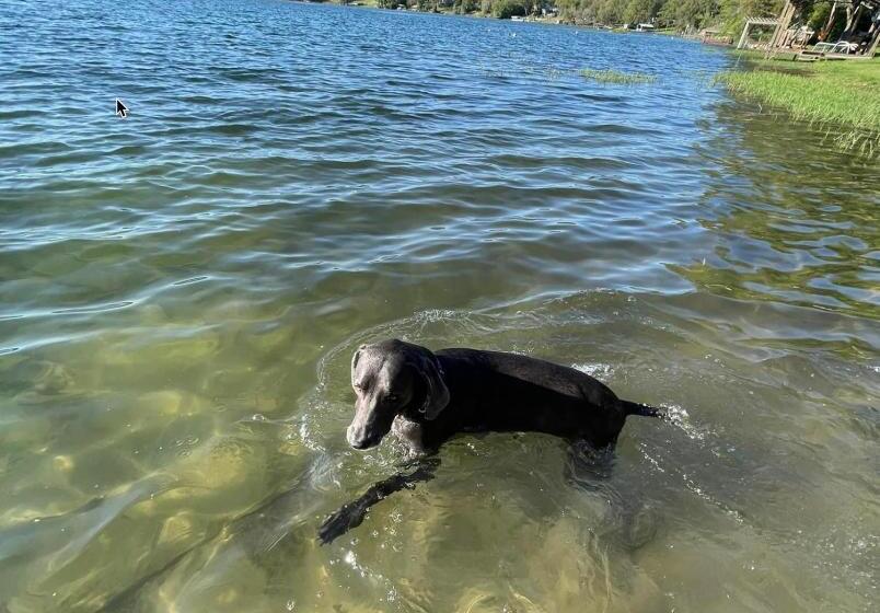 The Fifth Promise A Cozy Lakehouse Retreat