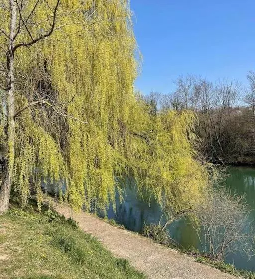 Calme, Emplacement Parfait, 15 Min Paris