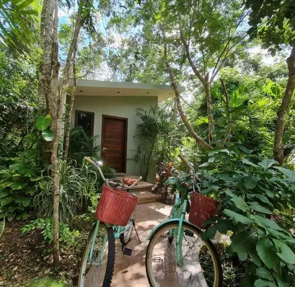 ホテル Secret Gardens Bacalar Suite 02 Con Alberca Y Bicicletas