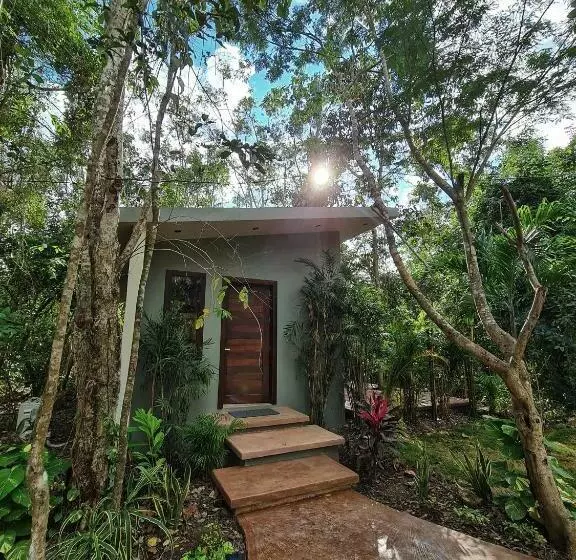 ホテル Secret Gardens Bacalar Suite 02 Con Alberca Y Bicicletas