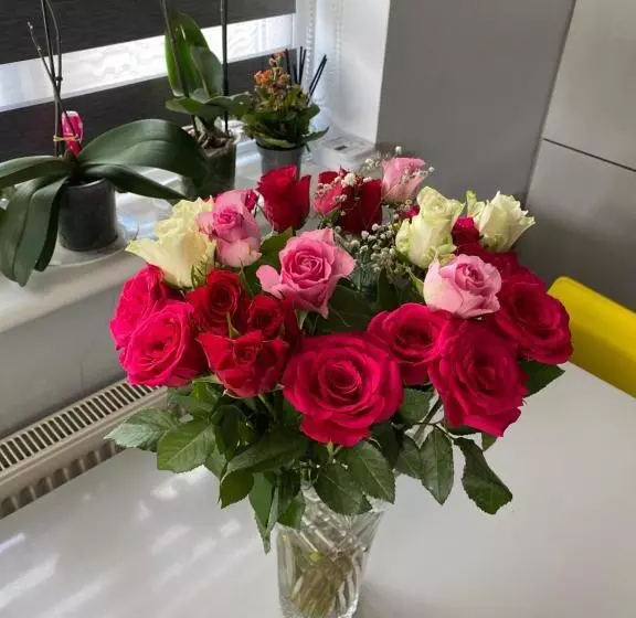 Modern 2 Bedrooms Fully Equipped Apartment With Garden, Free Parking, Free Wifi