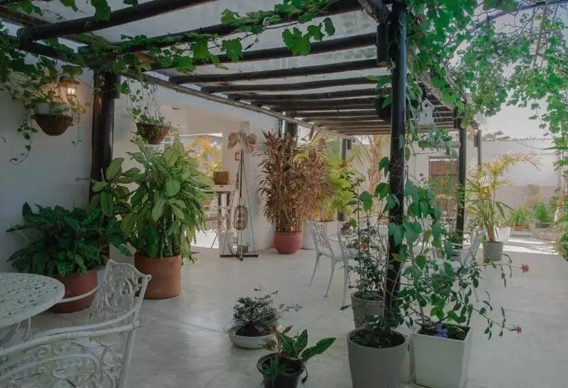 ペンション Casa Ines