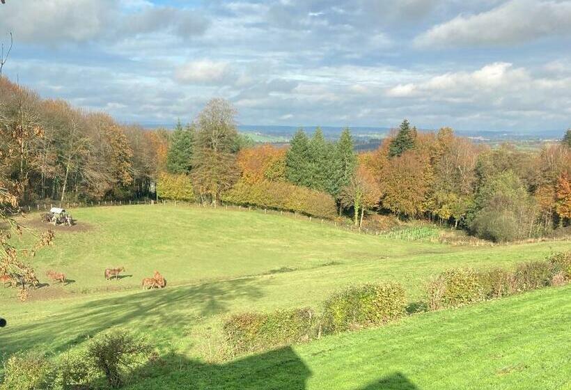 住宿加早餐  Ash Tree