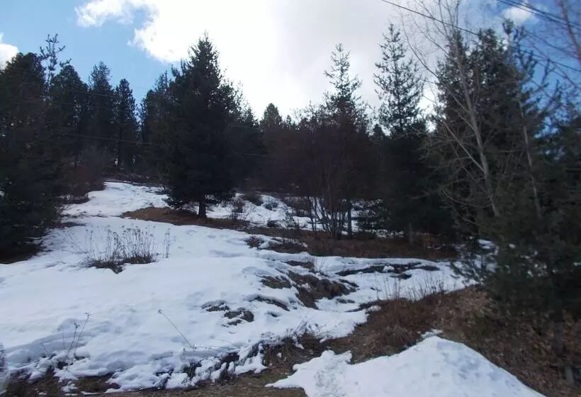 ホテル Kellogg Rio