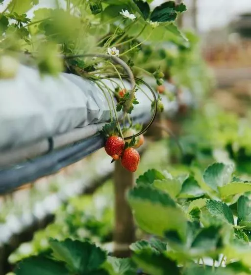 ホテル Le Vert Boutique