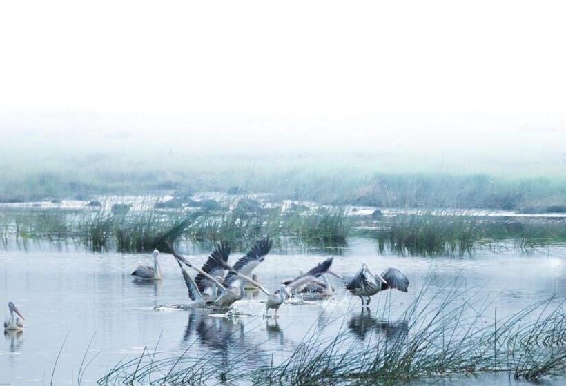 ホテル Oruwa Boutique Villas