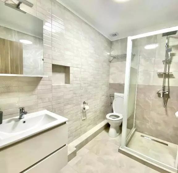 ペンション Alpin House Colibita