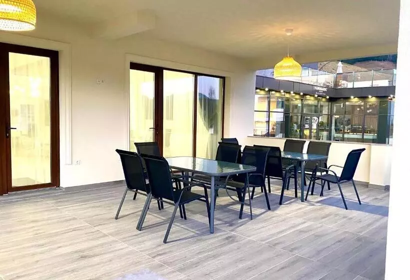 ペンション Alpin House Colibita