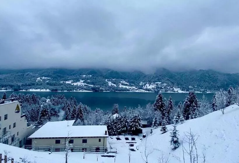 ペンション Alpin House Colibita