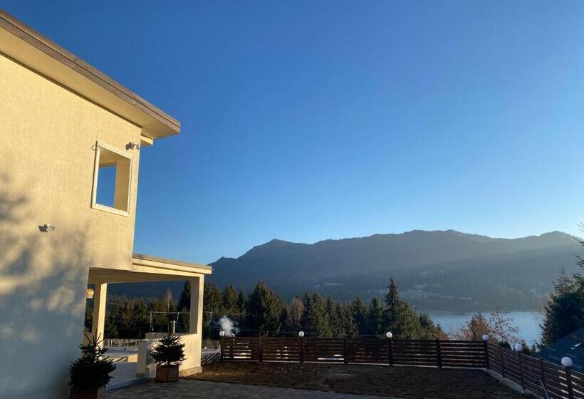 پانسیون Alpin House Colibita