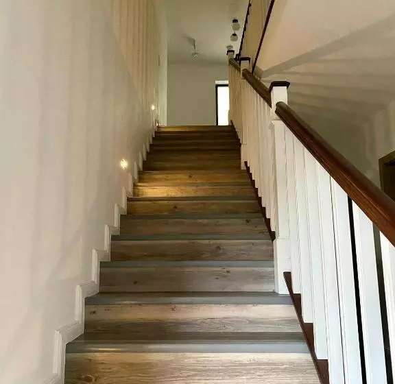 ペンション Alpin House Colibita