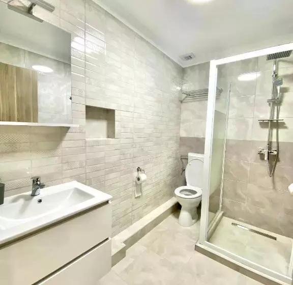 ペンション Alpin House Colibita