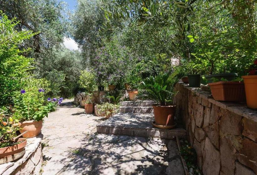 Barbara Sveti Stefan