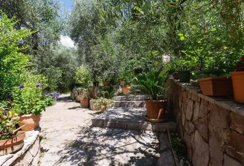 Barbara Sveti Stefan