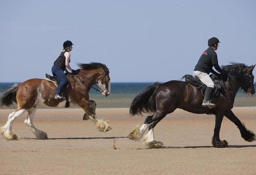 Ground Floor Apartment Twin King Bed Option Free Off Street Parking