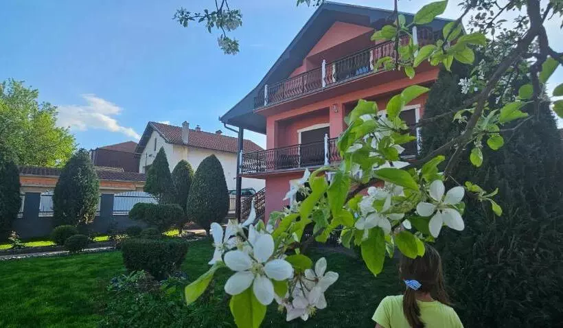 Guest House Lona