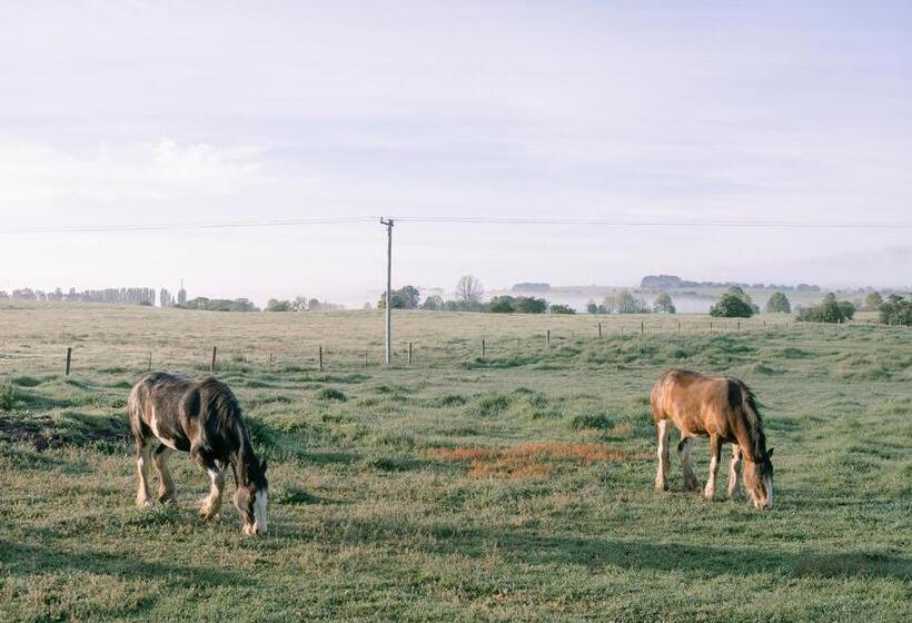 Отель Mona Farm