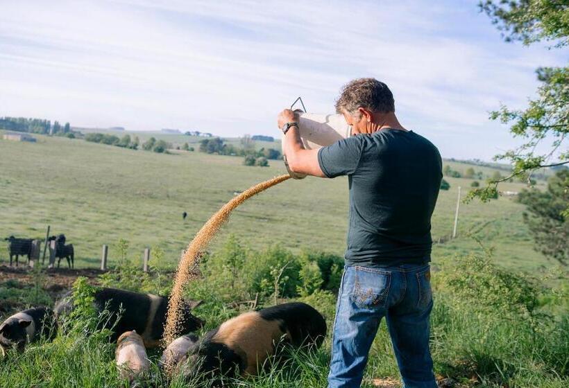 Отель Mona Farm