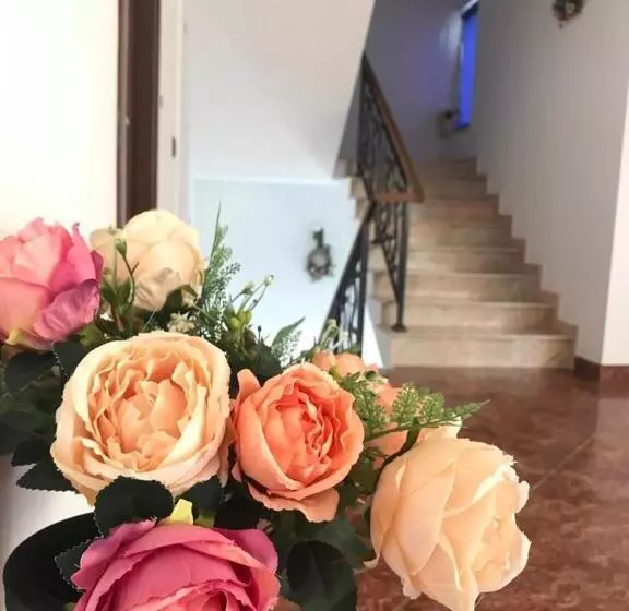 ペンション Vila Ebru