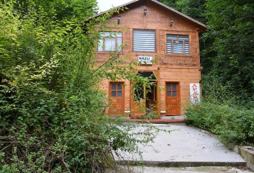 Ayder Nazlı çiçek Apart