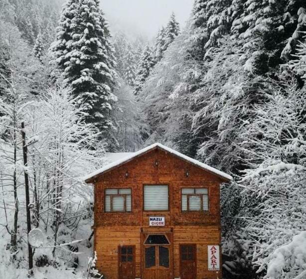 Ayder Nazlı çiçek Apart