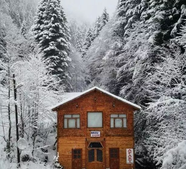 Ayder Nazlı çiçek Apart