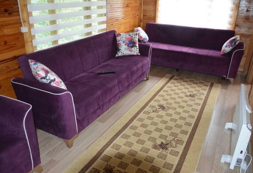 Ayder Nazlı çiçek Apart