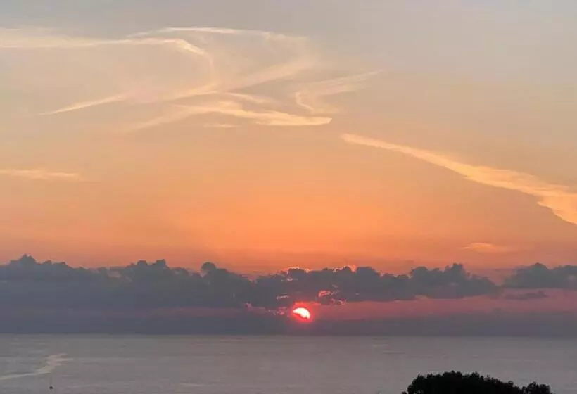 تختخواب و صبحانه Fiftyfour West Boutique Living