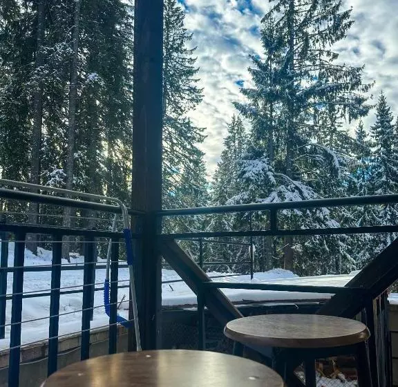 Castle Romance   Pamporovo