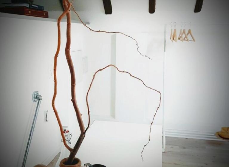 Общежитие Kelsterhaus