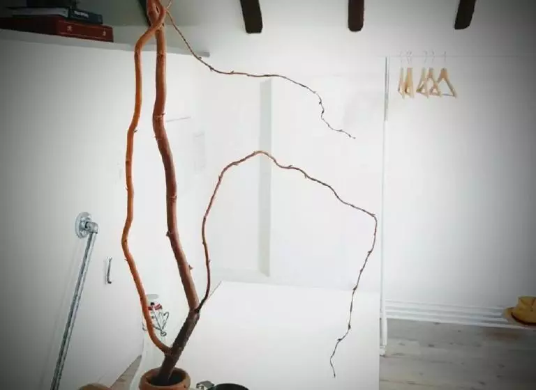 Retkeilymaja Kelsterhaus