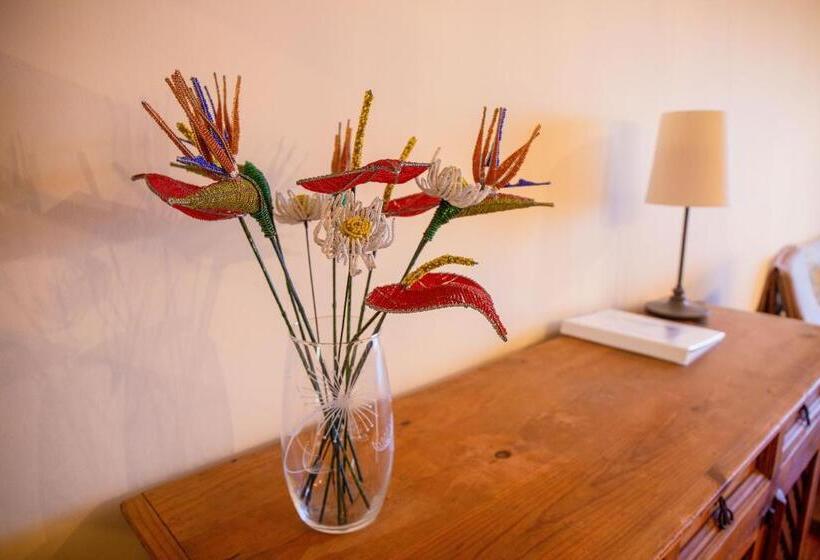 Caniço Quintas Iii By Trip2portugal