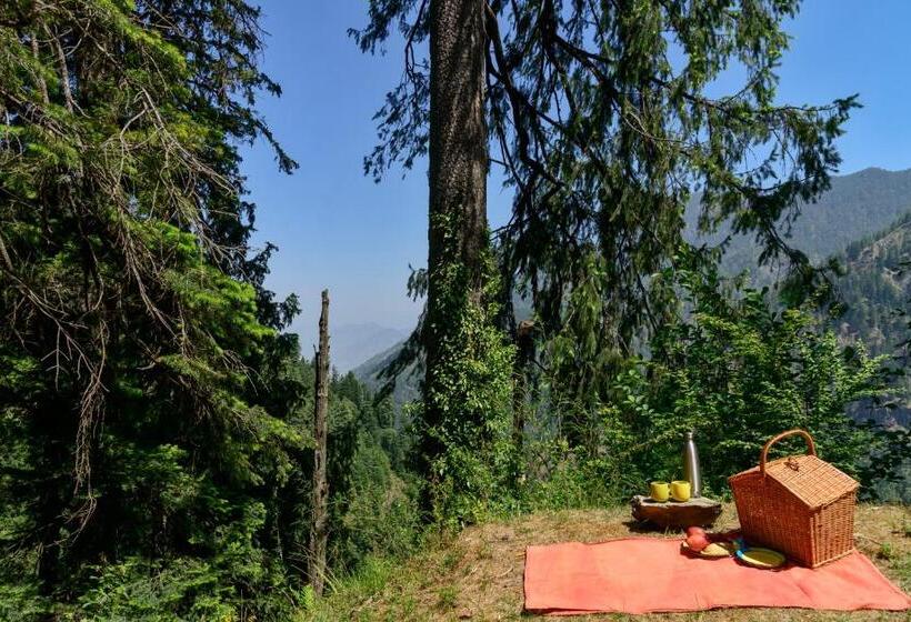 酒店 Banjara Retreat And Cottage Sojha