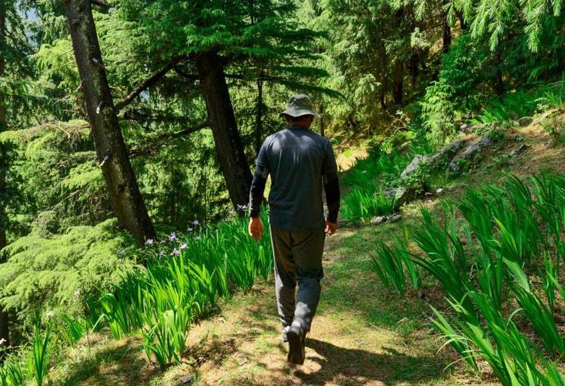 酒店 Banjara Retreat And Cottage Sojha