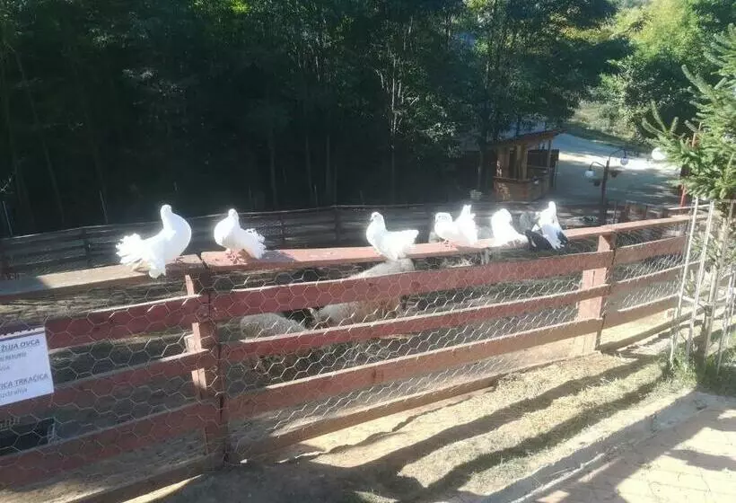 هتل Vile Jefimija