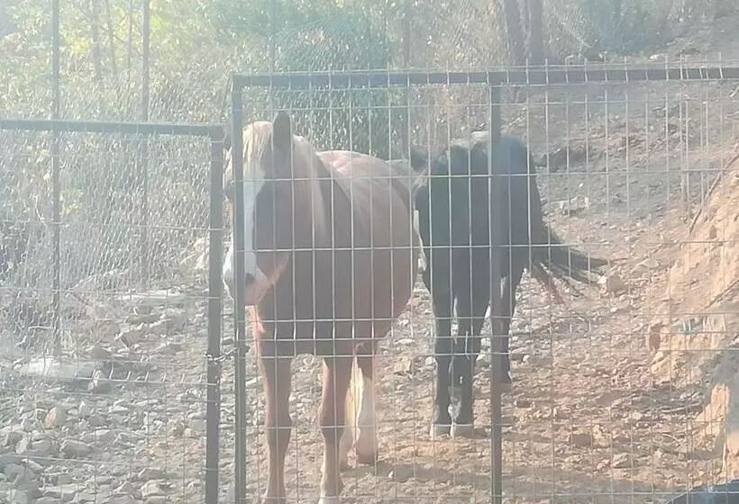 هتل Vile Jefimija