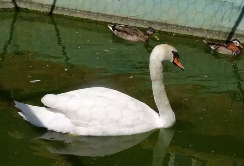 هتل Vile Jefimija