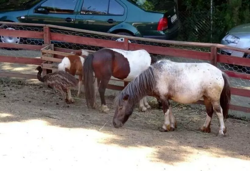 هتل Vile Jefimija