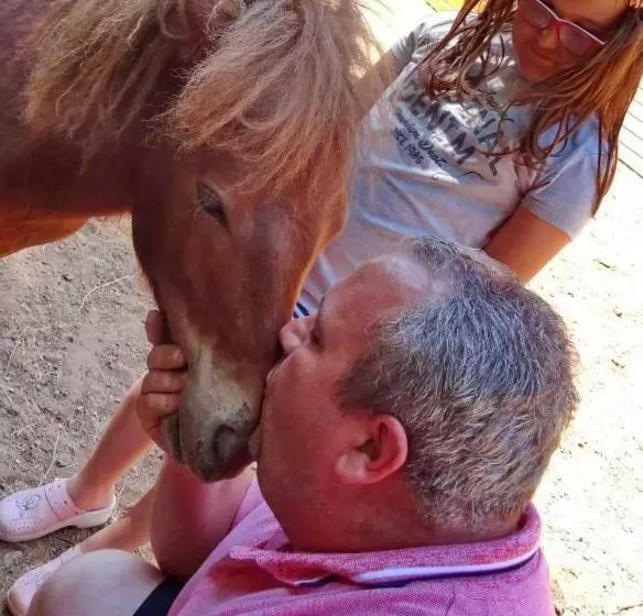 هتل Vile Jefimija