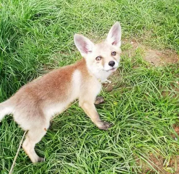 هتل Vile Jefimija