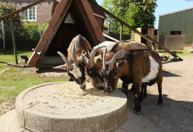 호텔 Ferienwohnung Auf Dem Bio Obsthof