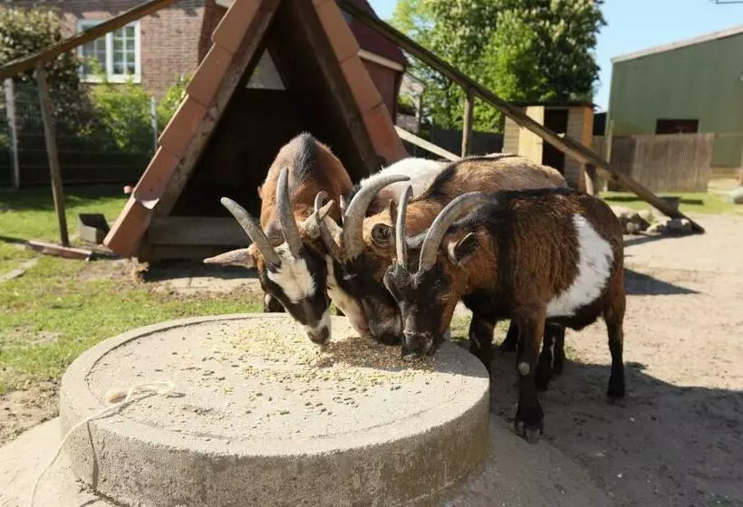 ホテル Ferienwohnung Auf Dem Bio Obsthof