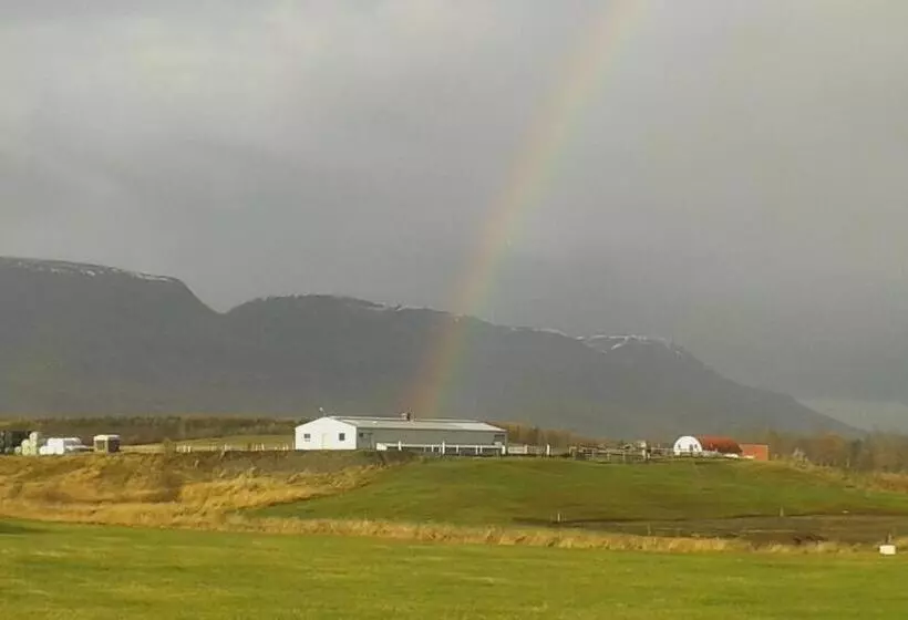 هتل Glæsibær 2 Guesthouse And Horsefarm